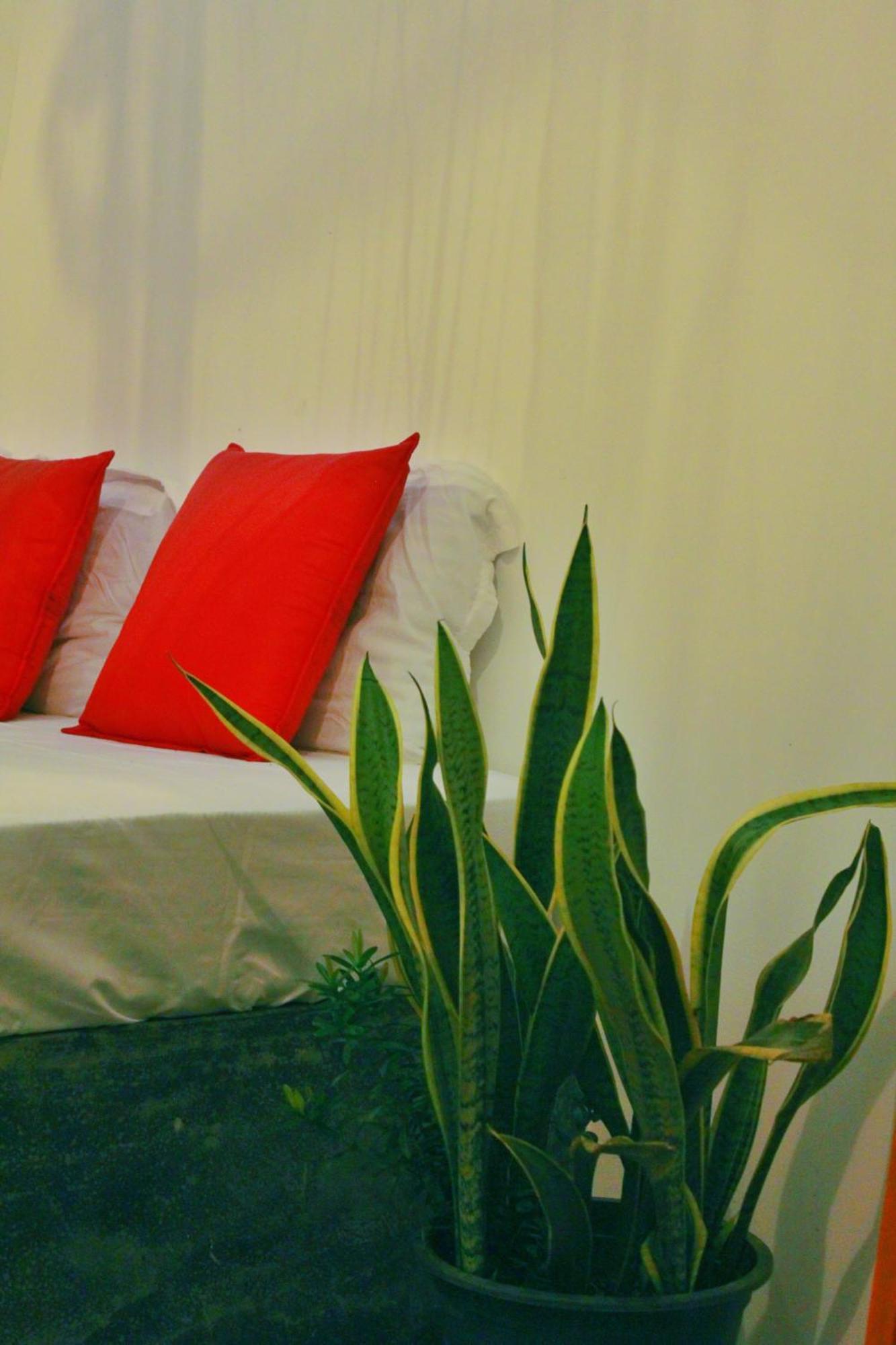 Linu Homestay Zuid-Dikwella Buitenkant foto